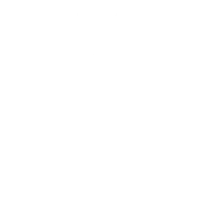 Sud Alpes Angels